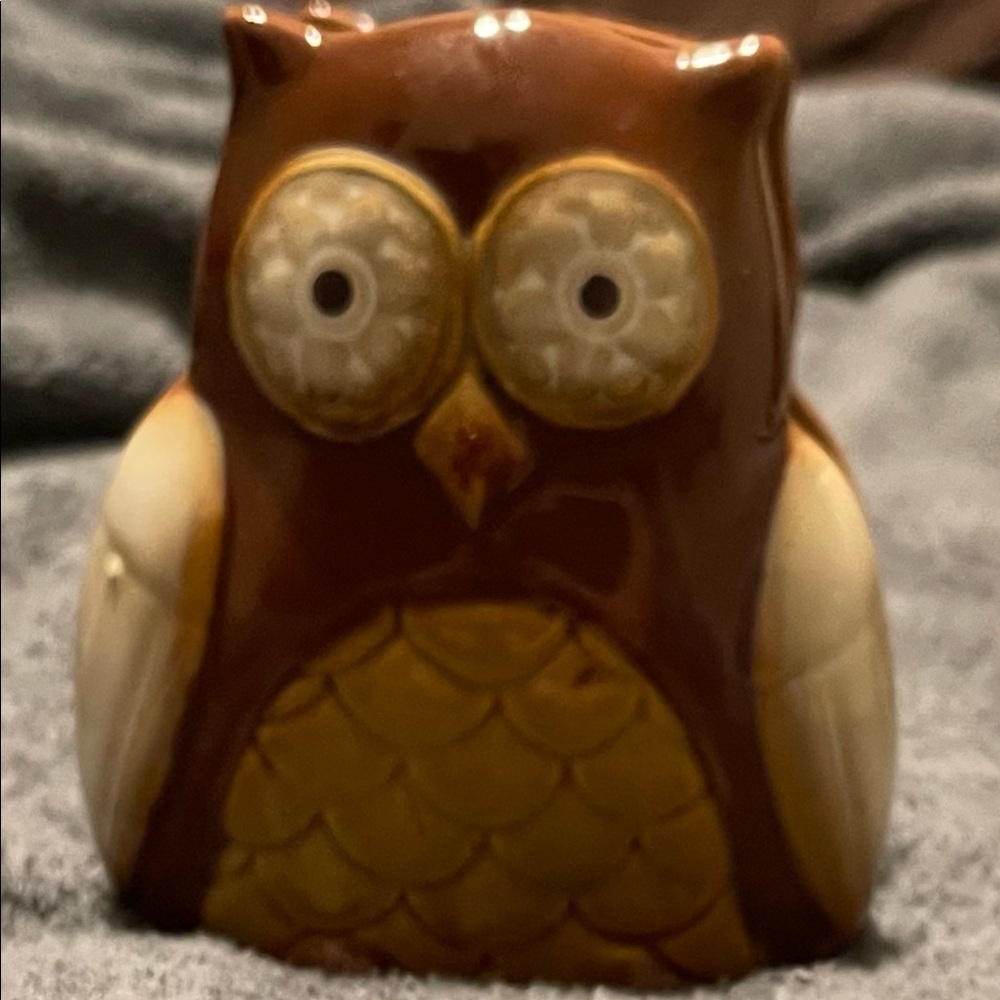 Adorable Vintage Owl Napkin Holder. 5 in Tall 4 in Wide..